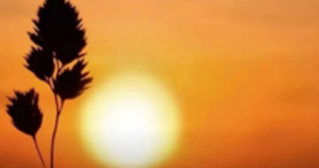 1731291655239715.jpg 1731291655239715.jpg