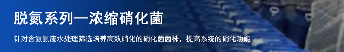 浓缩硝化菌.jpg