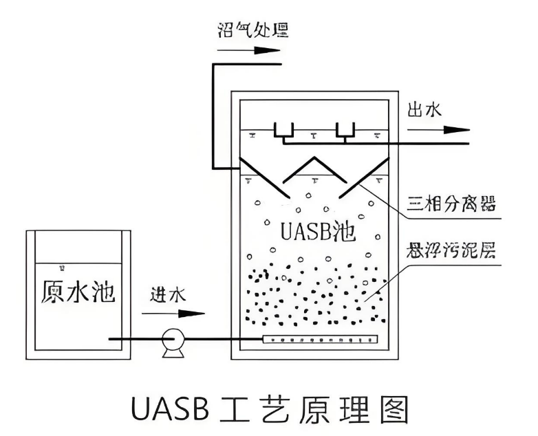 640 (1).png