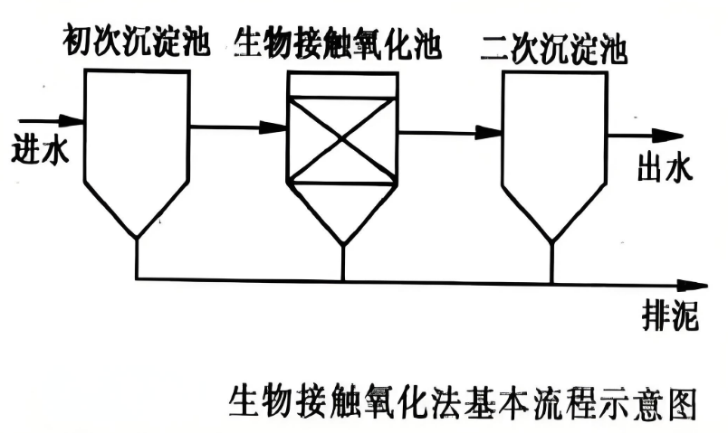 640 (2).png