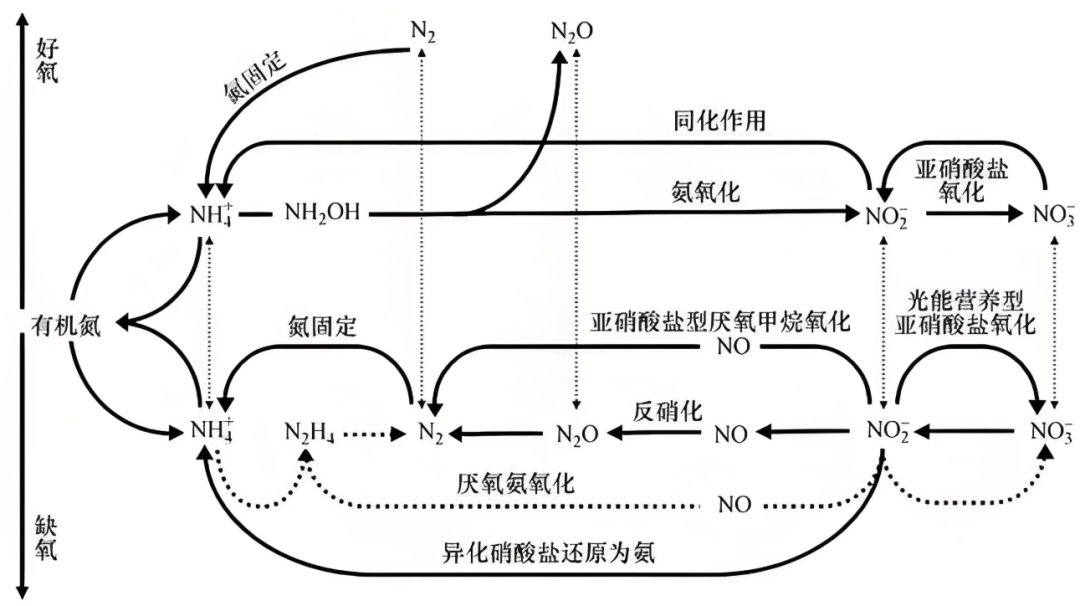 640 (2).png