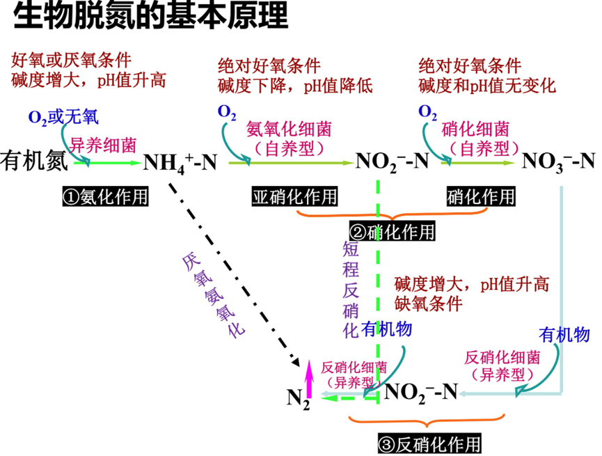 640 (1).png