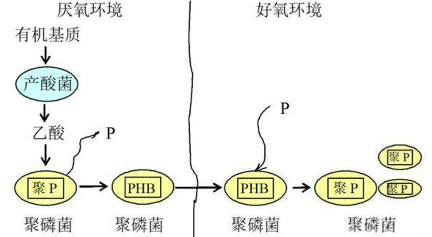 640 (2).png