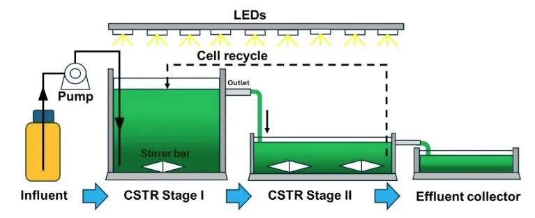 1747302260728240.jpg 640 (5).jpg
