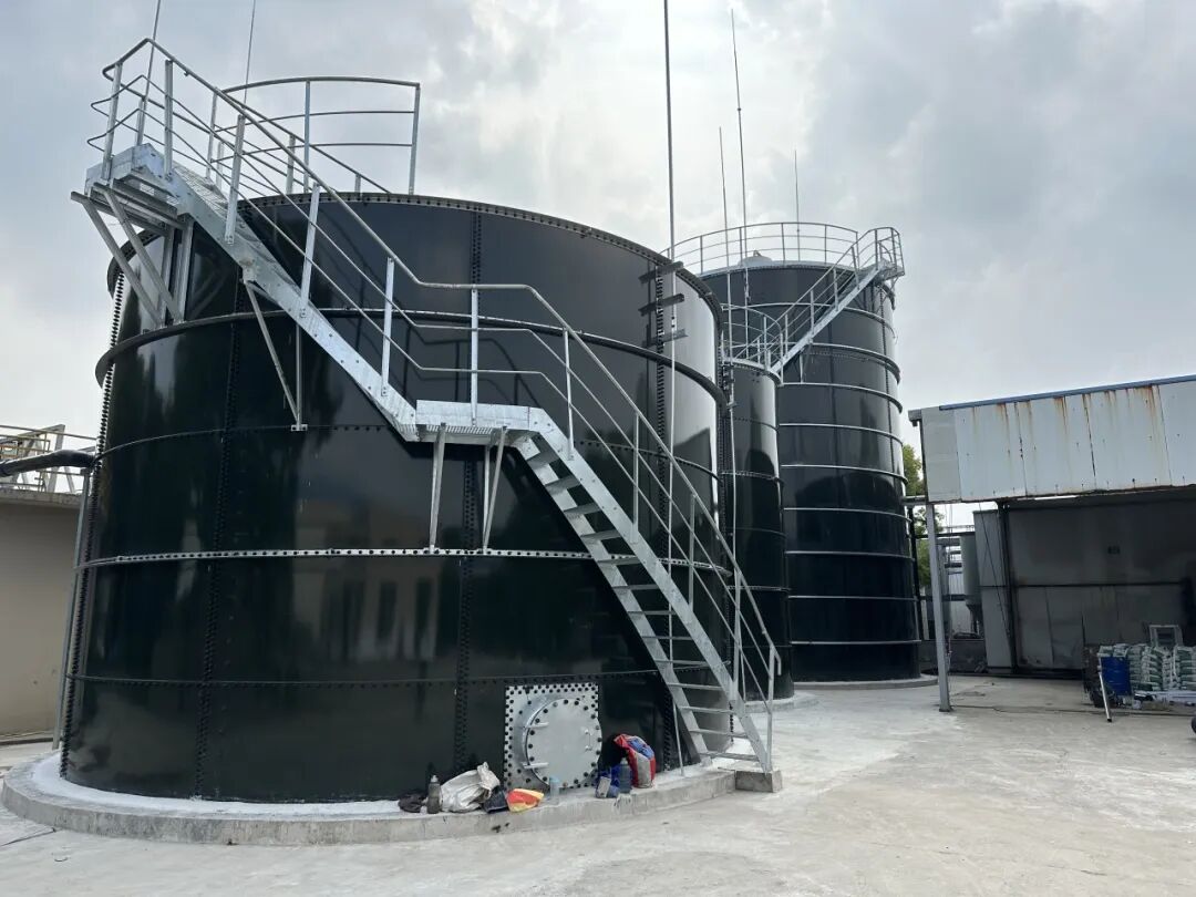 1768886476515411.jpg 640 (7).jpg