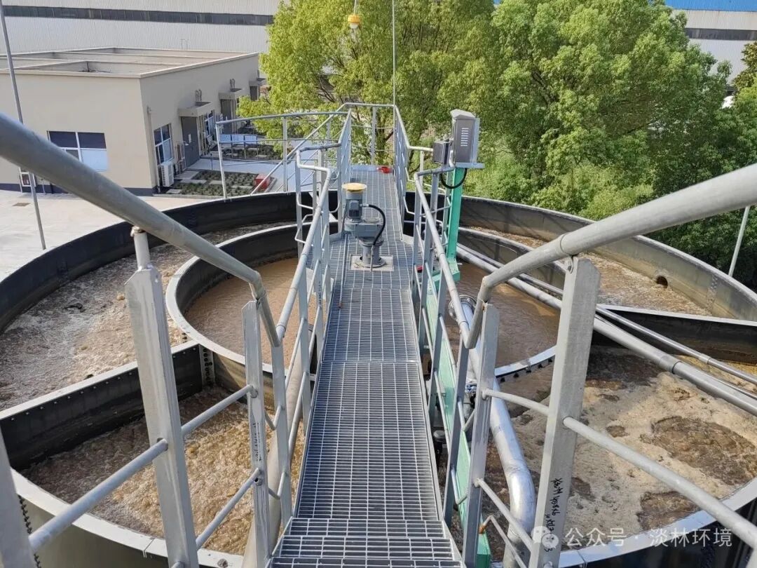 1773020203490325.jpg 640 (2).jpg