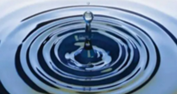 生物脱氮除磷机理研究