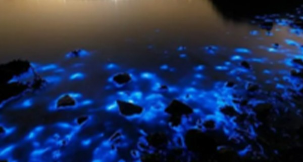 低温生物脱氮不达标怎么办