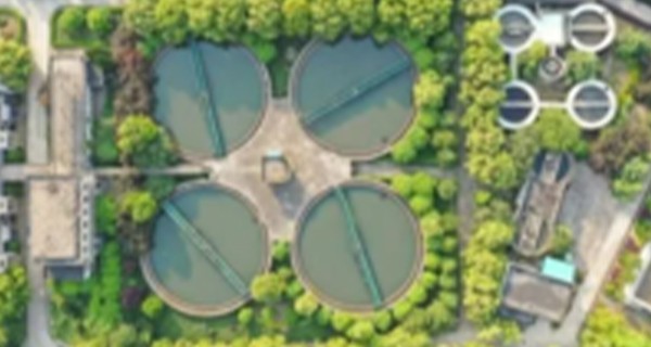 盐度过高会对活性污泥产生什么影响