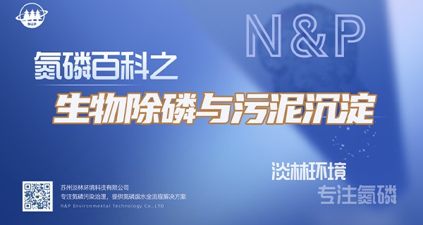 氮磷百科 | 生物除磷与污泥沉淀