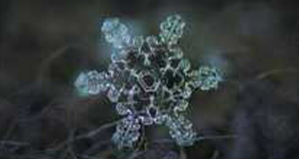 冬季对氮磷污水带来的影响