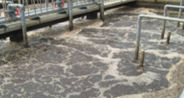 实际中常采用的化学除磷工艺