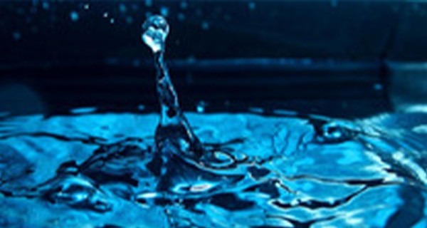 玉米秸秆制成过滤器，可有效去除废水中的磷酸盐