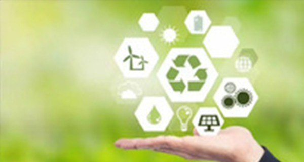 国务院：扎实推动绿色低碳转型 生态文明建设取得积极进展