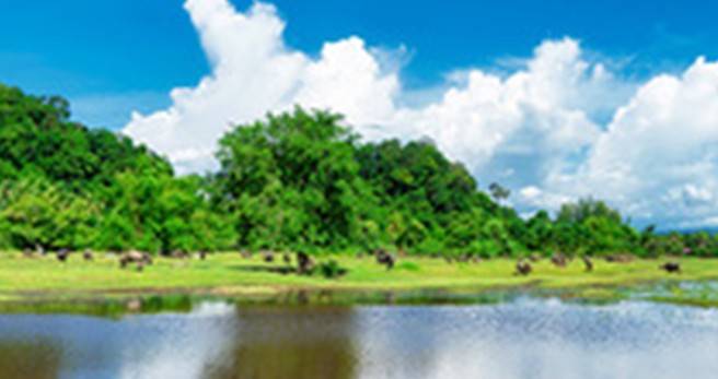 为什么夏季更容易出现二沉池浮泥现象