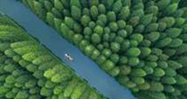 《关于加快推进城镇环境基础设施建设的指导意见》  