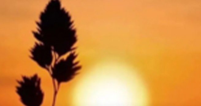 水解与厌氧的区别