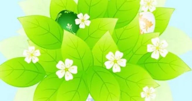 总氮超标原因分析与对策