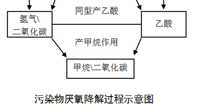 厌氧生物处理的基本理论