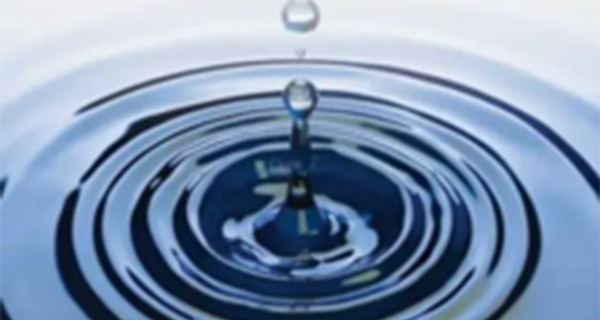 “十四五”水生态环境保护重点