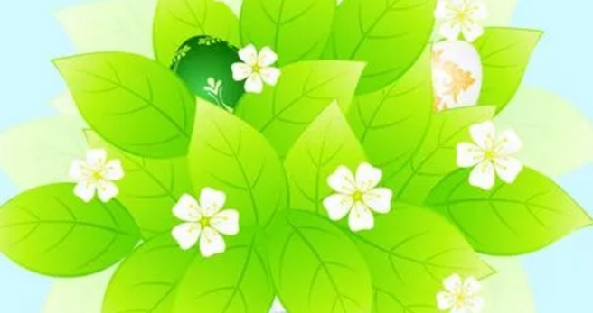 A/O脱氮工艺特点