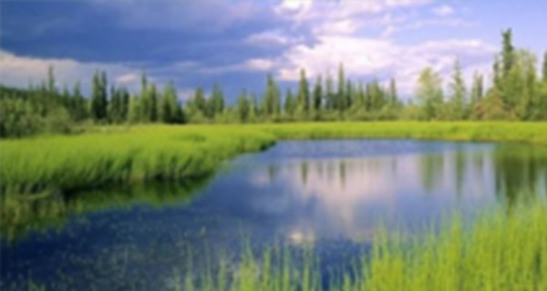 中央财政关于推动黄河流域生态保护和高质量发展的财税支持方案