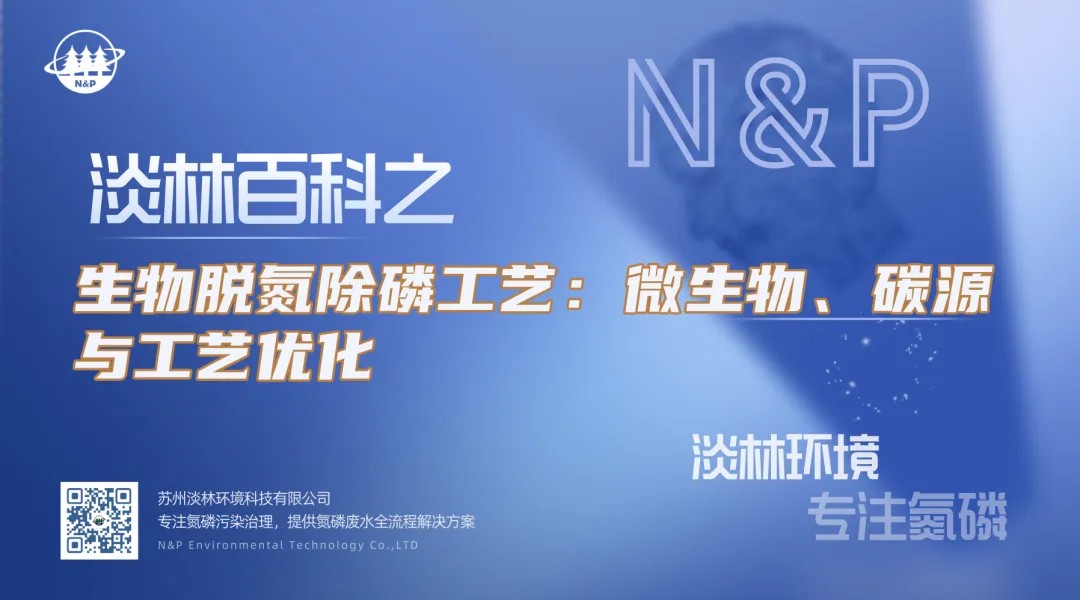 淡林百科｜生物脱氮除磷工艺：微生物、碳源与工艺优化