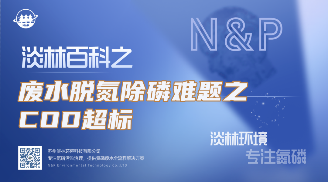 淡林百科｜废水脱氮除磷难题之COD超标