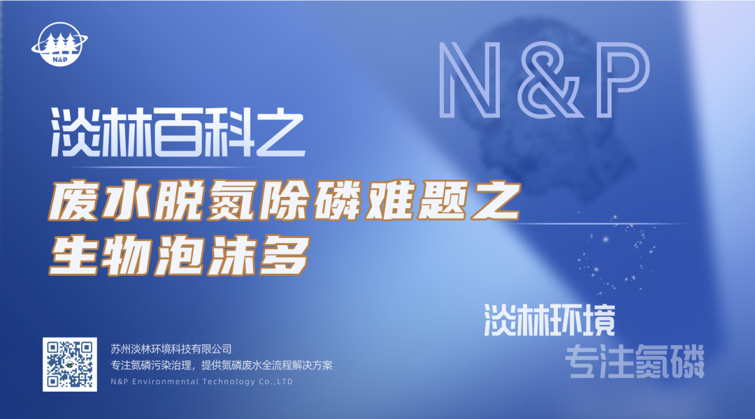 淡林百科｜废水脱氮除磷难题之生物泡沫多