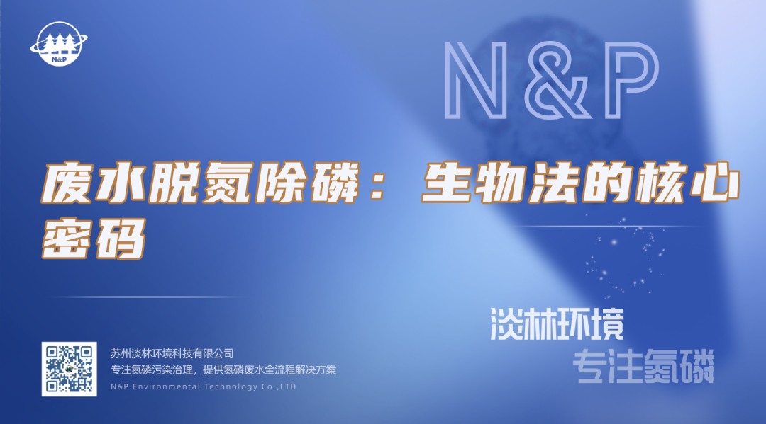 淡林百科｜废水脱氮除磷：生物法的核心密码