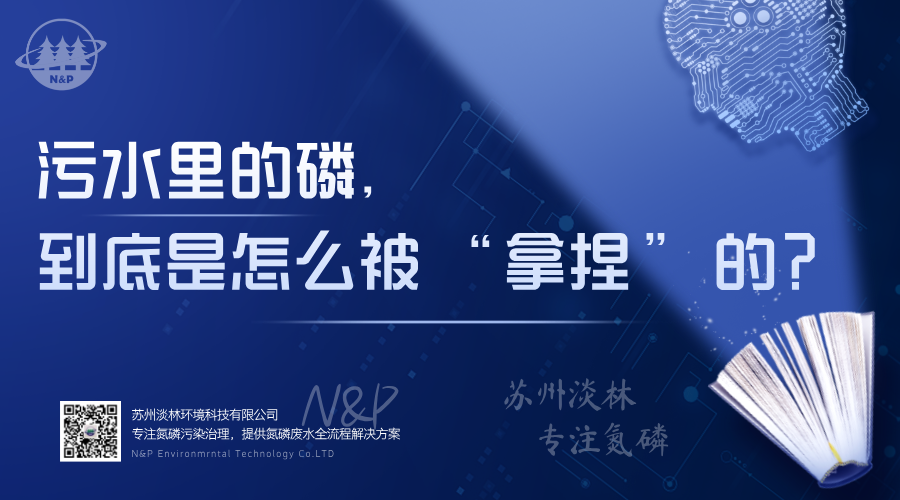 淡林百科｜污水里的磷，到底是怎么被 “拿捏” 的？